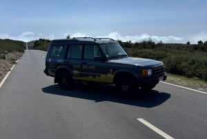 Tour in jeep 4 ruote motrici: marea tropicale, Porto Moniz e foresta di Fanal