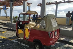 Tuk Tuk Botanical Garden - Madeira Island