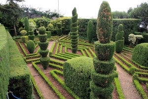 Ботанический сад Тук Тук - остров Мадейра