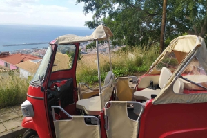 Ботанический сад Тук Тук - остров Мадейра