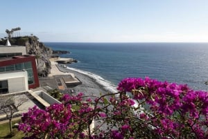 Tuk Tuk Câmara de Lobos - Madeira Island