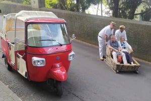 Tuk Tuk Monte Toboggan - Madeira Island