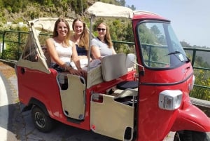 Tuk Tuk Monte Toboggan - Madeira Island