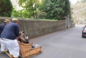 Tuk Tuk Monte Toboggan - Madeira Island