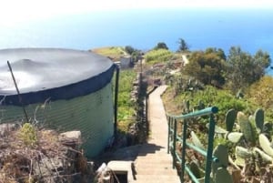 Passeio de Vereda e Vinho da Madeira