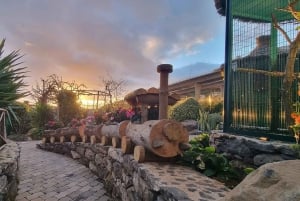 Visit to Madeira Bird Island