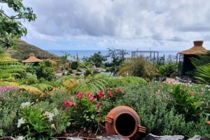 Visit to Madeira Bird Island