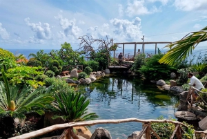 Visita all'Isola degli Uccelli di Madeira
