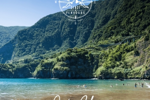 Breathtaking Northwest of Madeira island in our classic VW VAN Tours