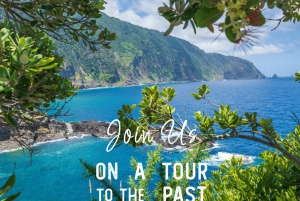 Breathtaking Northwest of Madeira island in our classic VW VAN Tours