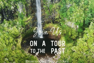 Breathtaking Northwest of Madeira island in our classic VW VAN Tours