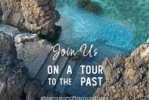 Breathtaking Northwest of Madeira island in our classic VW VAN Tours