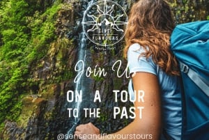 Breathtaking Northwest of Madeira island in our classic VW VAN Tours