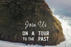 Madeira: VW Van Tours upptäck sydvästra Madeira med exklusiv komfort