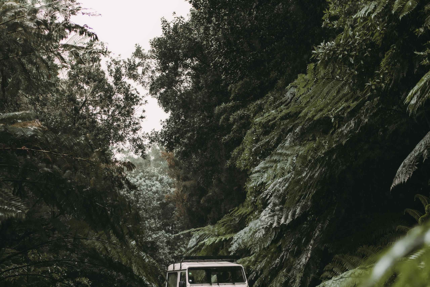 Vest: 4x4-tur | Seixal-stranden | Porto Moniz naturlige pools |.