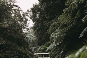 Vest: 4x4-tur | Seixal-stranden | Porto Moniz naturlige pools |.