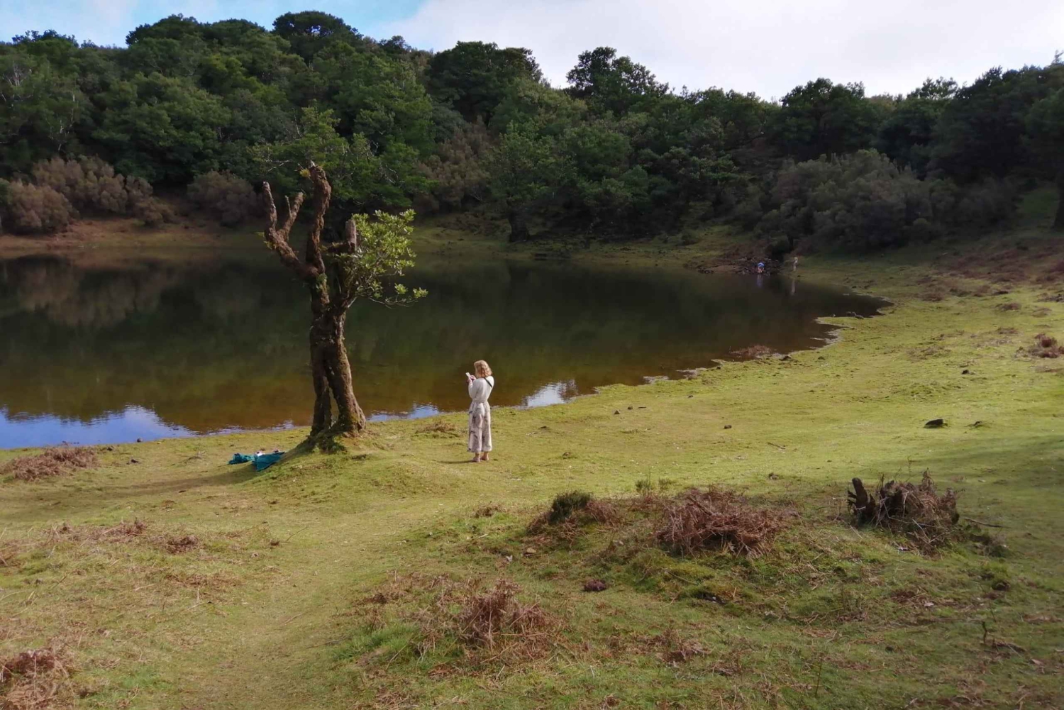 Vest-Madeira: Laurbærskog, foss, steinbassenger, tur