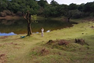 West Madeira:, Laurel Forest, Waterfall, Rock Pools, Walk