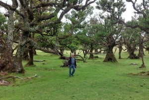 West Madeira:, Laurel Forest, Waterfall, Rock Pools, Walk