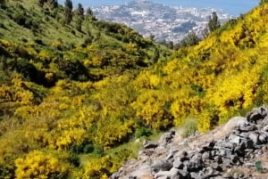 West Madeira:, Laurel Forest, Waterfall, Rock Pools, Walk