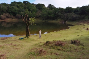 Vest-Madeira: Laurbærskog, foss, steinbassenger, tur
