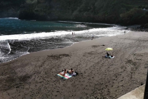 Vest-Madeira: Laurbærskog, foss, steinbassenger, tur