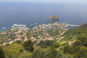 Vest-Madeira: Laurbærskog, foss, steinbassenger, tur