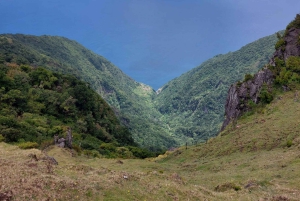 Vest-Madeira: Laurbærskog, foss, steinbassenger, tur