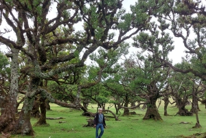 Vest-Madeira: Laurbærskog, foss, steinbassenger, tur