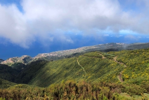 Västsafari – Den naturliga poolen Porto Moniz med öppna takjeepar