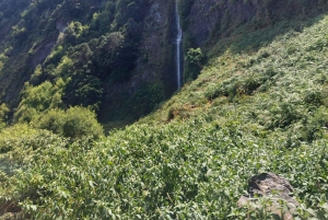 Västsafari – Den naturliga poolen Porto Moniz med öppna takjeepar