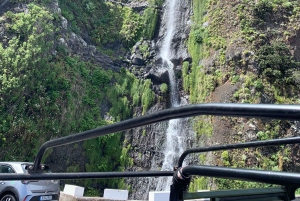 Västsafari – Den naturliga poolen Porto Moniz med öppna takjeepar