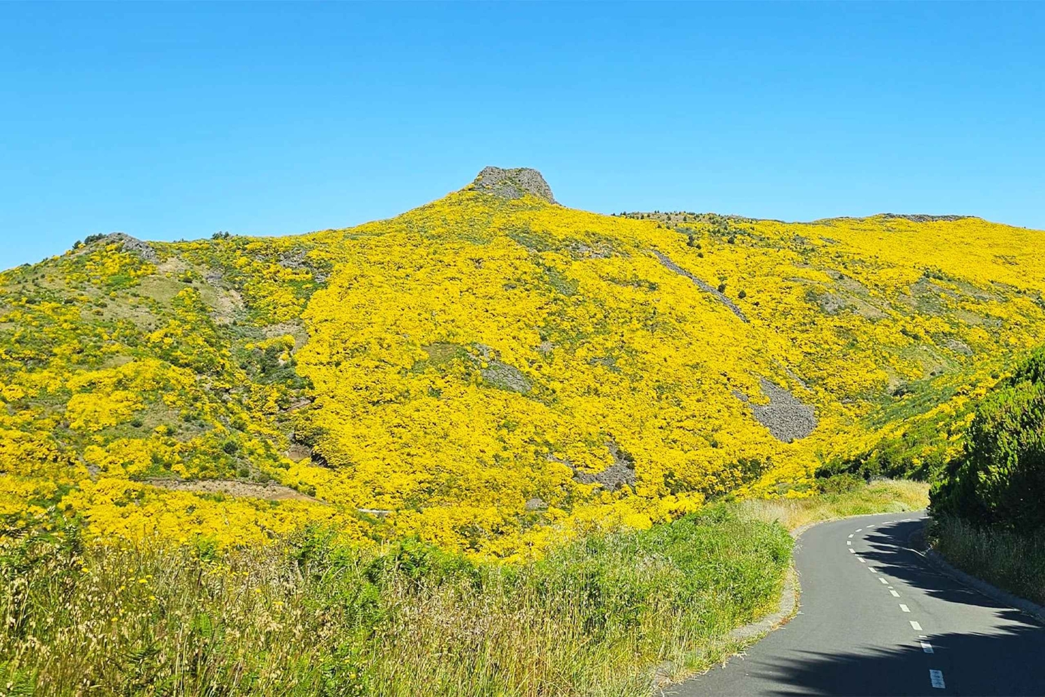 Västtur Madeira Island