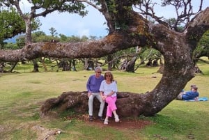 West Tour Madeira Island