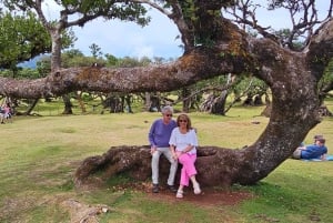 West Tour Madeira Island