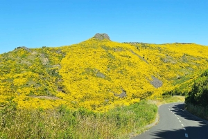 Västtur Madeira Island