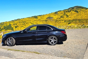 Västtur Madeira Island