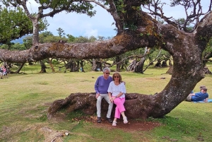 Västtur Madeira Island