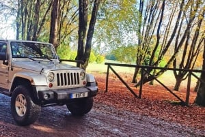 West Tour - Porto Moniz VIP 4X4 Wrangler Tour 8h Trip