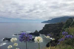 Western Madeira: Private Island Tour