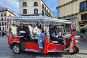 1.5-hour Tuk Tuk Tour in Madrid