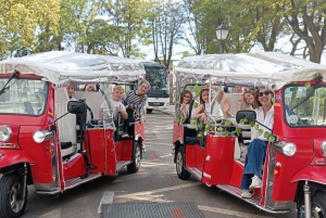1.5-hour Tuk Tuk Tour in Madrid