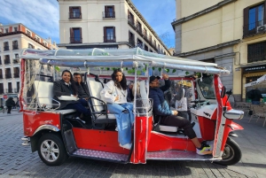 1.5-hour Tuk Tuk Tour in Madrid