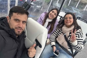 1時間、マドリード ウェルカムと歴史ツアー