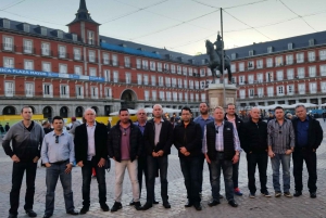 4-Hour Walking Tour in Madrid