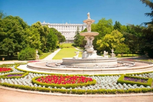 Afernoon Koninklijk Paleis skip the line en historische tour