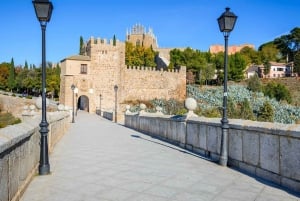 Alcázar and Historic Segovia & Toledo Tour from Madrid