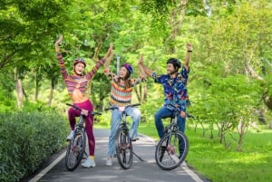 Tutto Madrid: Tour privato in bicicletta elettrica intorno alla città