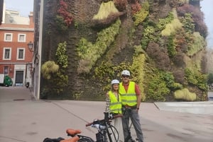 Ganz Madrid: Private Electric Bike Tour durch die Stadt