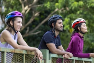 Hela Madrid: Privat elcykeltur runt staden